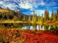 Fall_in_the_Tatoosh_Wilderness_Mount_Rainier_National_Park_Washington.jpg